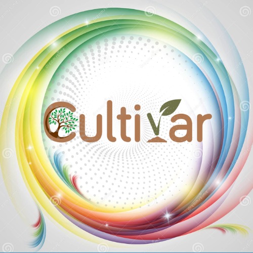 CULTIVAR